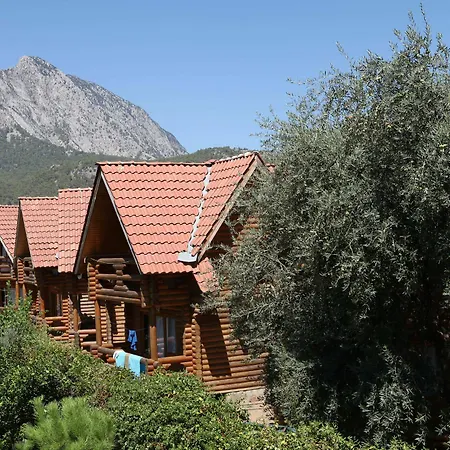 Woodline Göynük